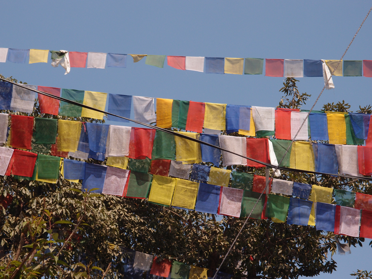 2018-01-14 13 Uhr - Am Tempel (Audio, Foto) 